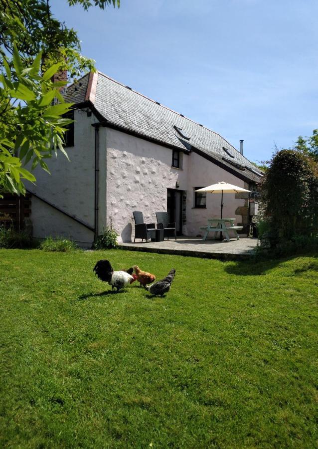 Farm Accommodation - The Lizard Peninsula, Cornwall Helston Exterior foto